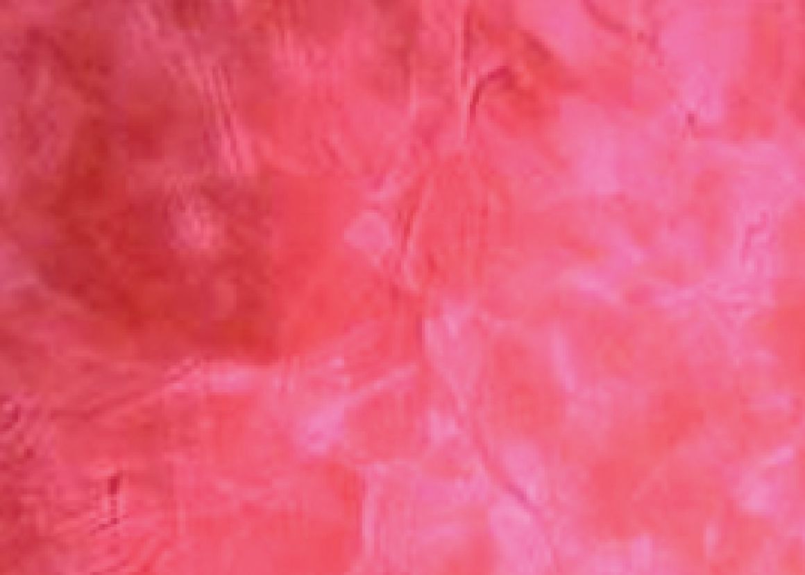 Raffaello